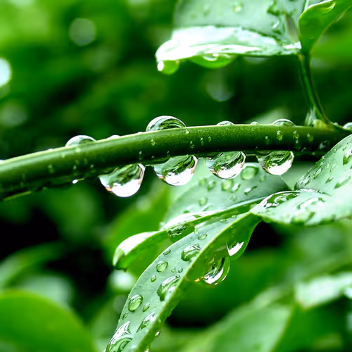 0x3704552dbb73a0d749bd7744ee3194638333fbcf