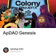 The Final Trial: When Colonies Converge