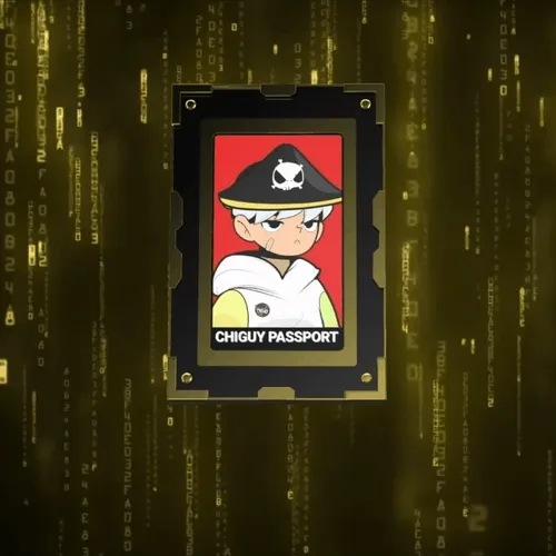 CHIGUY PASSPORT