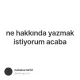 ne hakkında yazmak istiyorum acaba