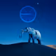 The Elephant's Dreams