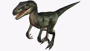 Raptor