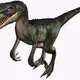 Raptor