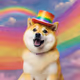 Doge Rainbow Hat