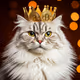 Catti