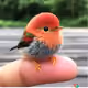 birdy