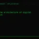 Crypto Wisdom