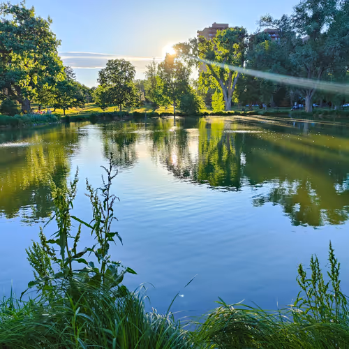 Tranquil Reflections