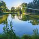 Tranquil Reflections