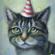 QA Cat