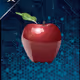 Apple_look a like