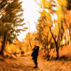 Welcome, autumn!