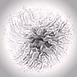 Espace réservé aux médias de l'article