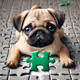 PUG_CNF🧩