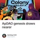 The Final Trial: When Colonies Converge
