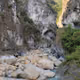 Taroko