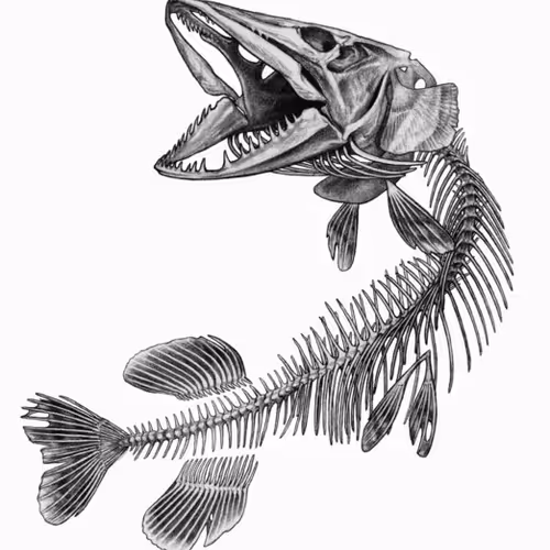 pike bone