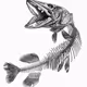 pike bone