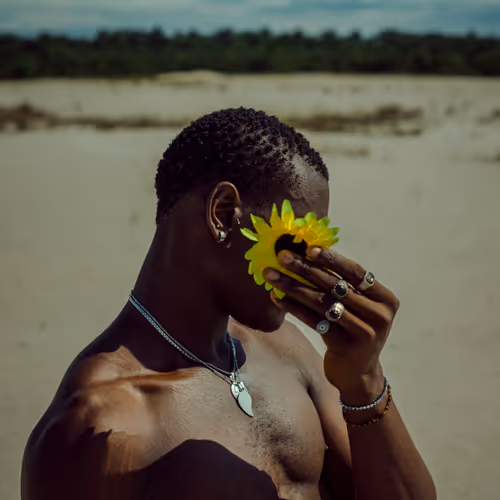 I KISSED A SUNFLOWER