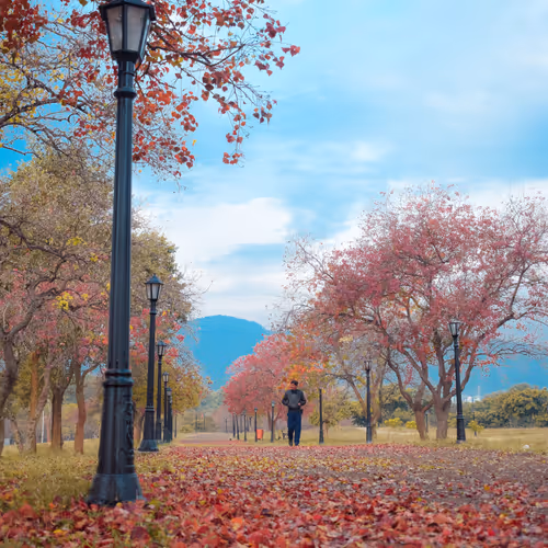 SHADES OF ONCHAIN AUTUMN