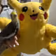 Pika