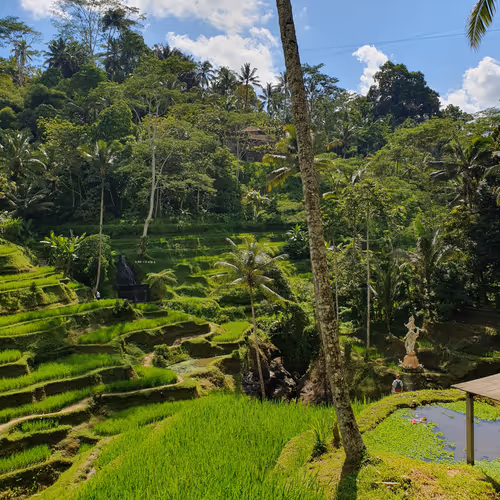GreenSteps