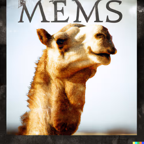 Hump Day
