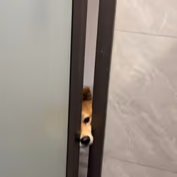 Marcador de posición de elemento multimedia