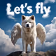 Let's fly