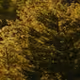 Test test