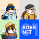 BOBR NFT