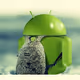 tobot
