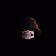 xyzmoney