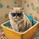Mr. Miggles on Base