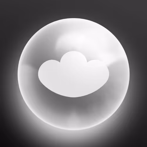 Lens Network Commemorative Zorb