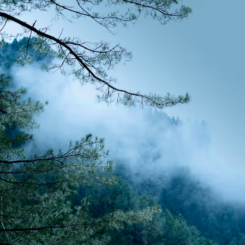 Touch Grass & Clouds