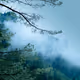 Touch Grass & Clouds