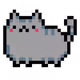 Only cats party