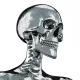 Skull Issue