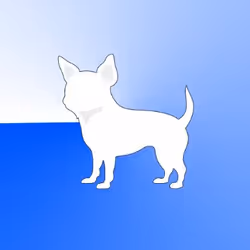 Basic DOG NFTs