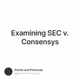 Examining SEC v. Consensys