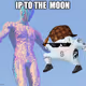 IP TO THE MOON