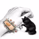 HEALER CAT