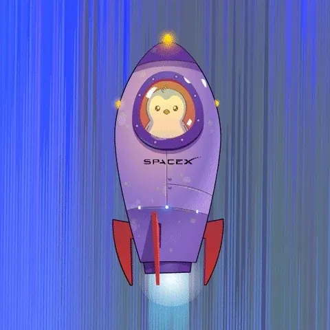 PENGU SpaceX 4