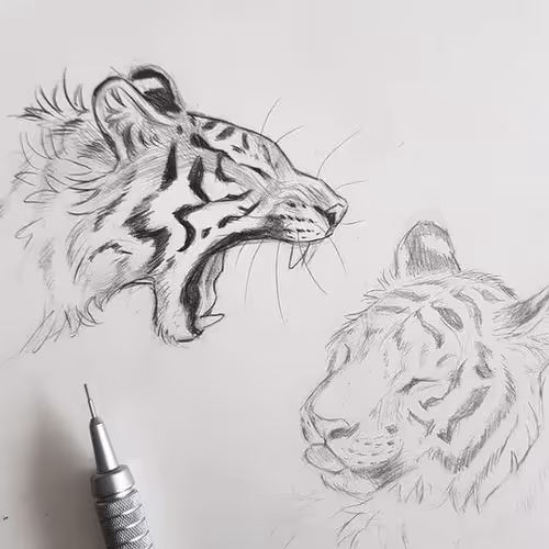 Painted tiger
