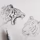 Painted tiger