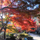 Autumn Arashiyama Kyoto