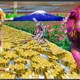 Pixel Perfect Gallery