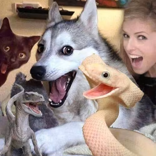 mem