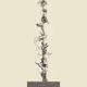 Baseplant